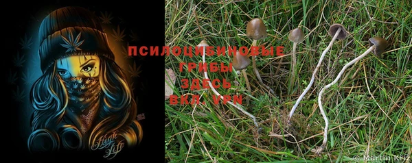 прущая мука Наволоки
