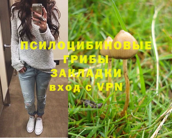 прущая мука Наволоки