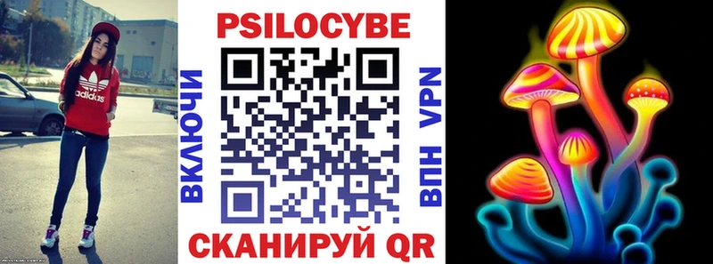 ОМГ ОМГ как зайти  магазин    Кимовск  Галлюциногенные грибы Cubensis 
