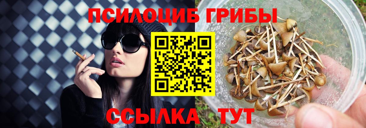 Псилоцибиновые грибы MAGIC MUSHROOMS  Кимовск  Галлюциногенные грибы Cubensis 