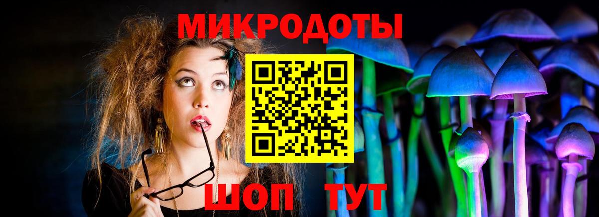 Галлюциногенные грибы Psilocybine cubensis Кимовск