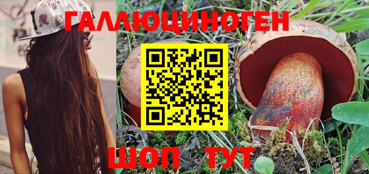 Кимовск  Псилоцибиновые грибы Magic Shrooms  Вход с VPN 