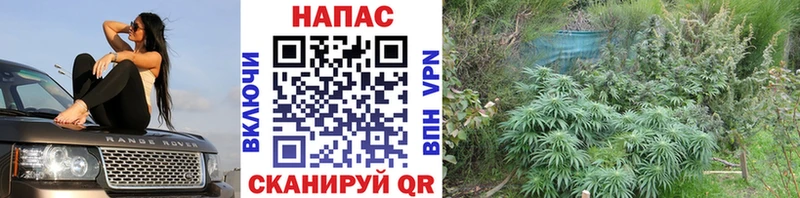 гидра сайт Кимовск Каннабис марихуана