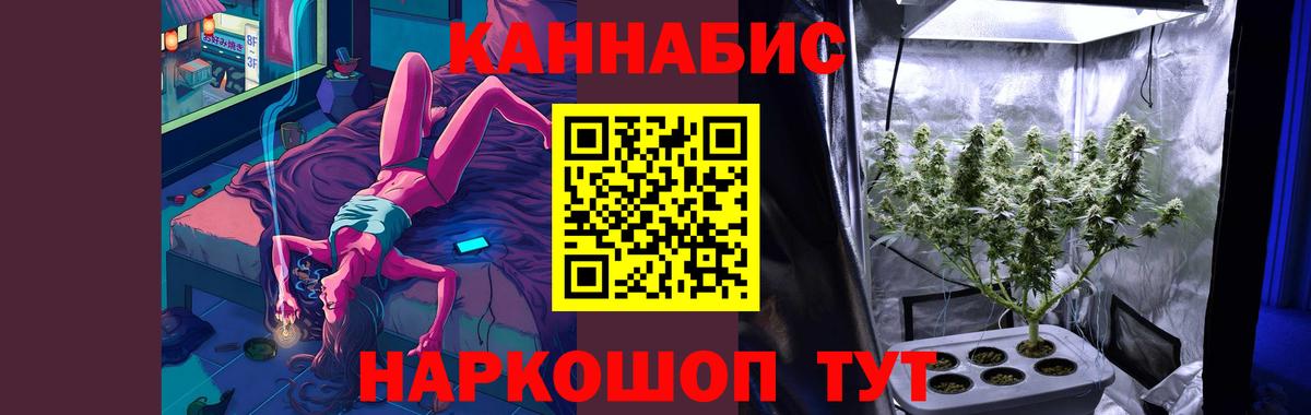 Шишки марихуана семена  Канабис AK-47  Кимовск  Марихуана марихуана  МАРИХУАНА Amnesia 